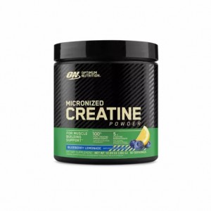 Optimum Nutrition Micronized Creatine Powder Blueberry Lemonade 0.79 lb (60 Servings) Argentina | 87149-UTVK