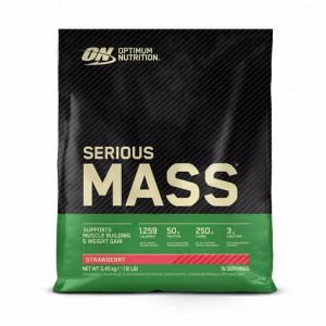 Optimum Nutrition Serious Mass Gainer Strawberry 5.45 kg (16 Servings) Argentina | 92381-XTKQ